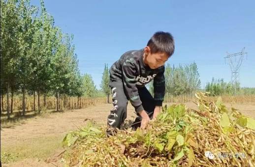 写建议书的格式