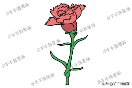 各式花卉简笔画