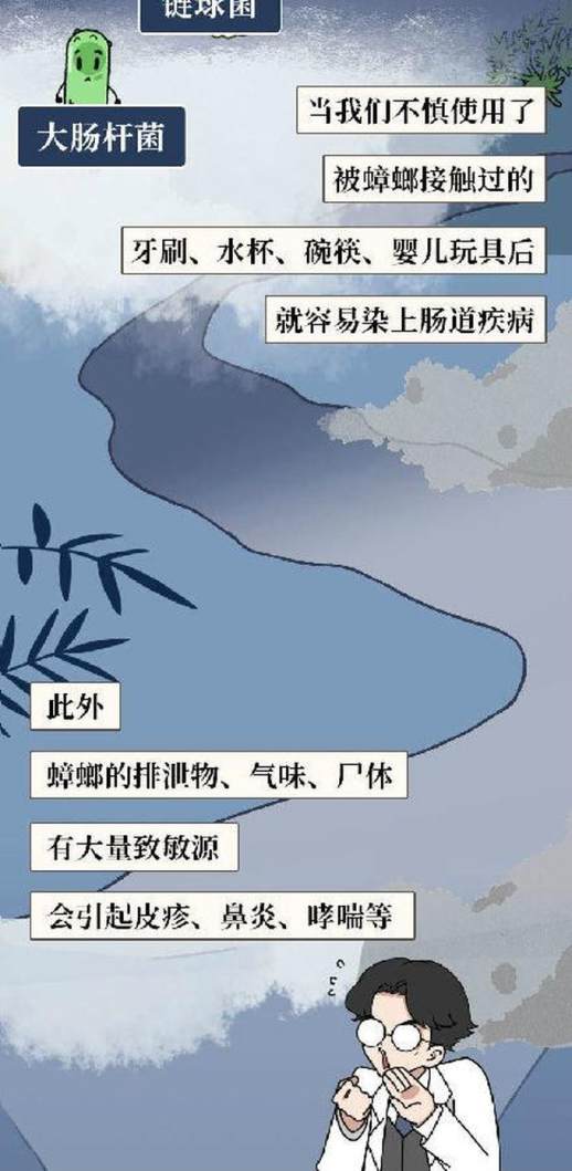 蟑螂消灭小窍门