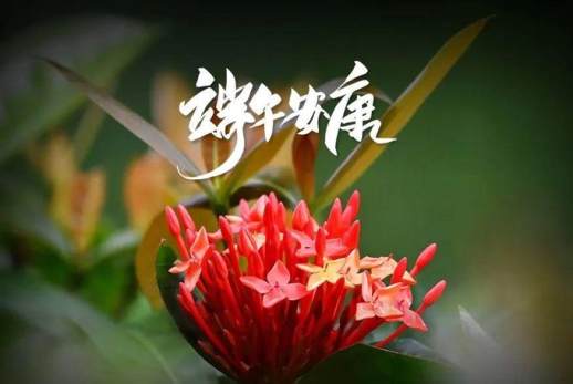 端午节的古诗四句小学