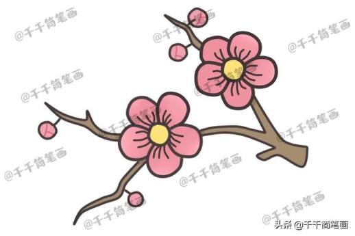 各式花卉简笔画