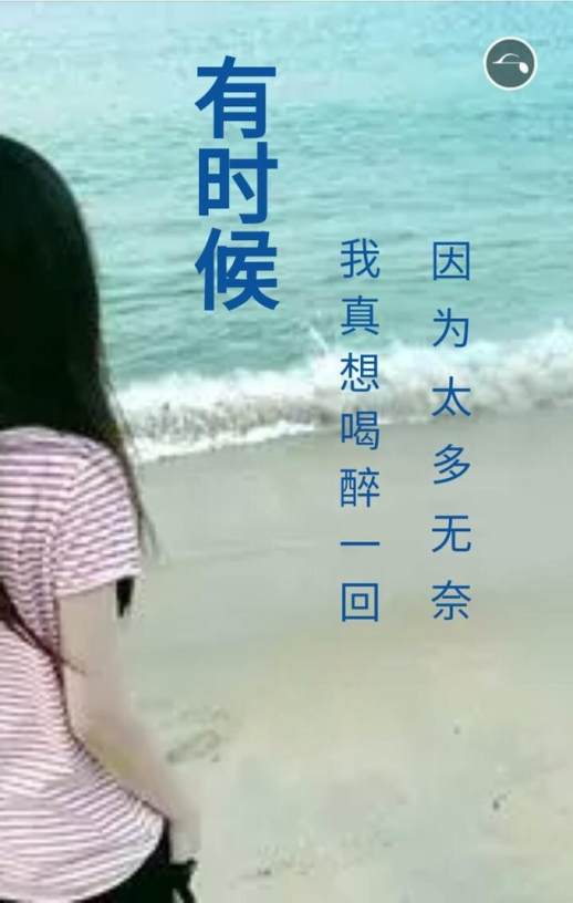 沧笙踏歌