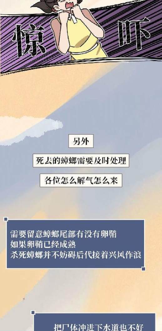 蟑螂消灭小窍门