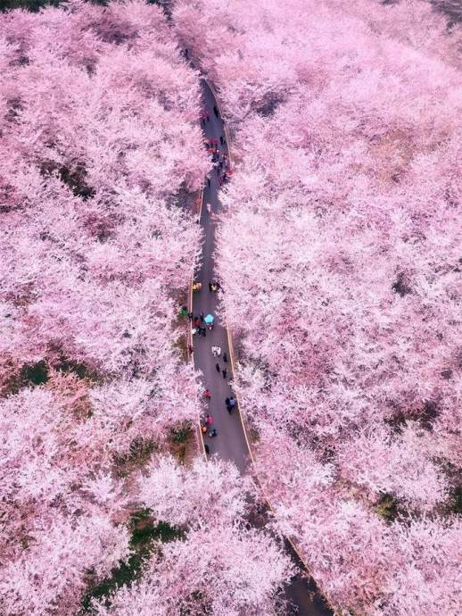 4月适合去哪旅游