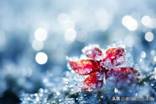 冬天与好友围炉煮茶赏雪