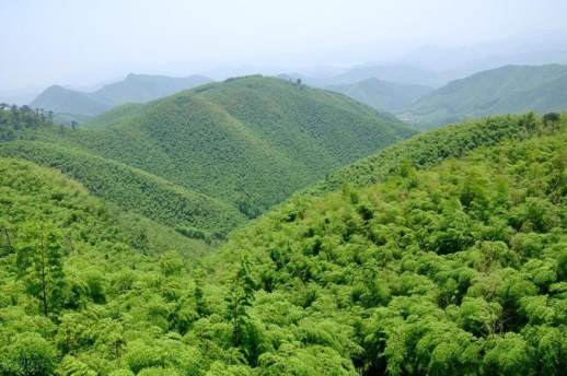 仙山奇景——雁荡山