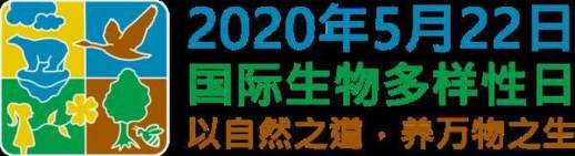 6.5世界环境日