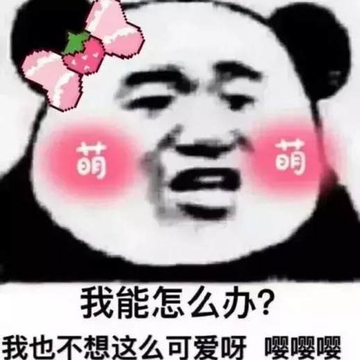 你是哪块小饼干什么意思