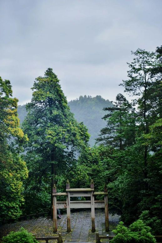 峨眉山旅游(成都峨眉山乐山两日游)