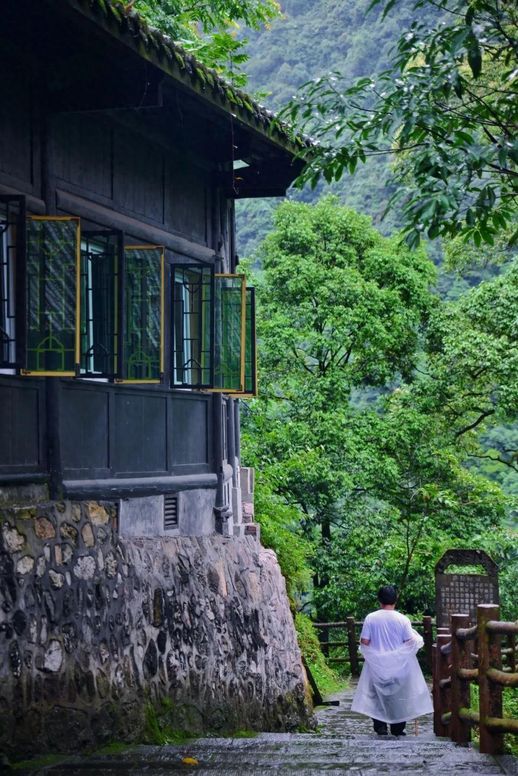 峨眉山旅游(成都峨眉山乐山两日游)