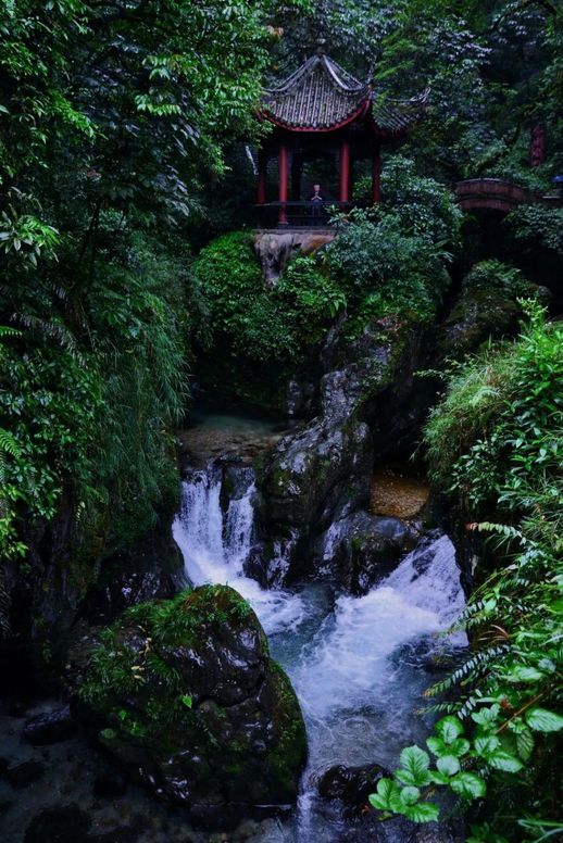 峨眉山旅游(成都峨眉山乐山两日游)