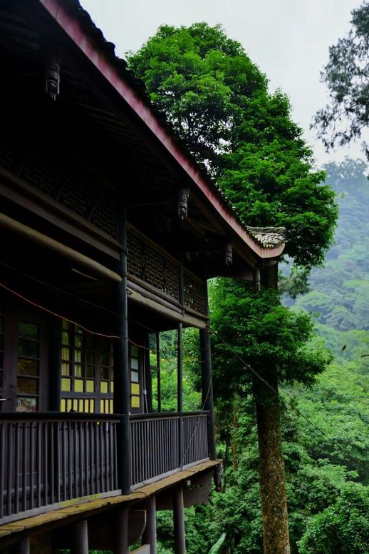 峨眉山旅游(成都峨眉山乐山两日游)