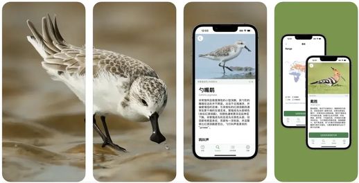 生物识别app