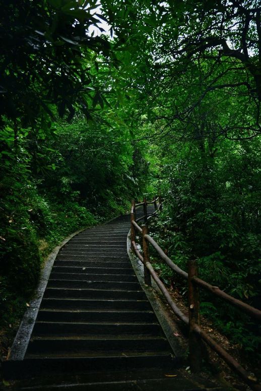 峨眉山旅游(成都峨眉山乐山两日游)