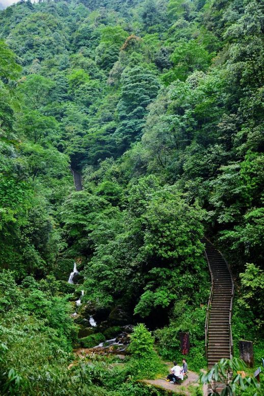 峨眉山旅游(成都峨眉山乐山两日游)