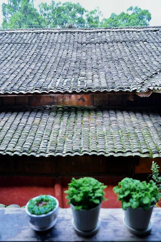 峨眉山旅游(成都峨眉山乐山两日游)