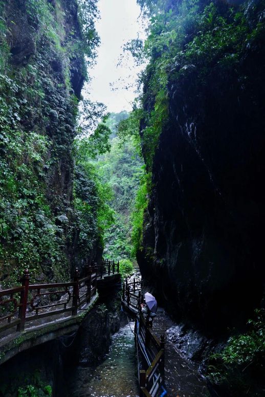 峨眉山旅游(成都峨眉山乐山两日游)